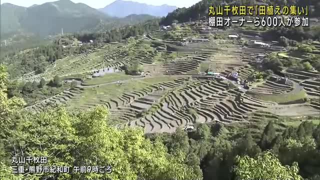 丸山千枚田で棚田のオーナーらによる「田植えの集い」が行われる　三重県熊野市