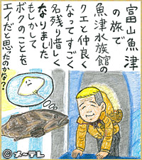 富山魚津の旅で
魚津水族館の
クエと仲良く
なってすごく
名残り惜しく
なりました
もしかして
ボクのことを
エイだと思ったのかな？