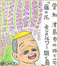 愛知　津島市の旅で一句
「藤の花　香りのシャワー　開く鼻」