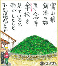 富山県
新湊の旅
専念寺
傘（からかさ）松を
見ていると
雨がしとしと
不思議だ！！とウド