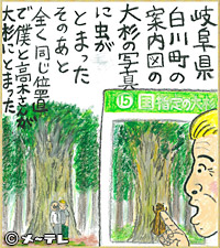岐阜県
白川町の
案内図の
大杉の写真に
虫がとまった
そのあと
全く同じ位置で
僕と高木さんが
大杉にとまった