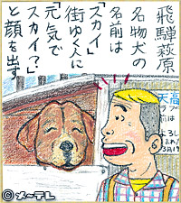 飛騨萩原
名物犬の
名前は
「スカイ」
街ゆく人に
「元気で
スカイ？」
と顔を出す