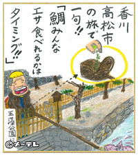 香川
高松市
の旅で
一句！！
「鯛みんな
エサ食べれるかは
タイミング！！」