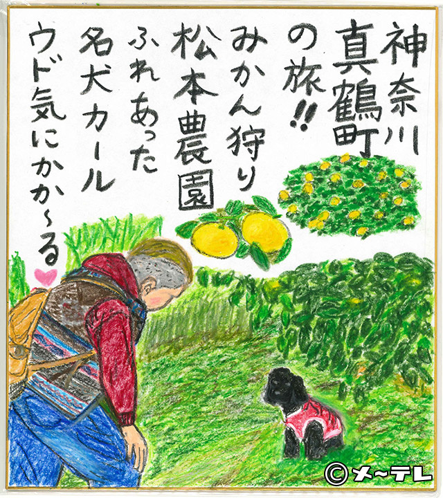 神奈川
真鶴町
の旅！！
みかん狩り
松本農園
ふれあった
名犬カール
ウド気にかか～る♡