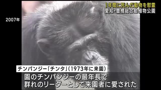 この1年に死んだ動物追悼の慰霊祭　愛知・豊橋総合動植物公園
