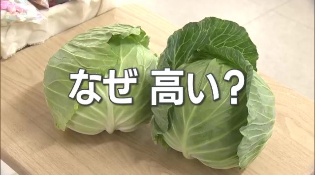 キャベツ高騰1玉300円に買い物客が悲鳴　キャベツおかわり自由のとんかつ店は「正直厳しい」