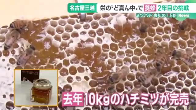 栄のデパート屋上でハチ3万匹飼育　養蜂プロジェクト　園児の学びの場にも　名古屋市