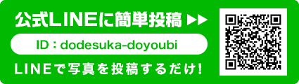 公式LINEに簡単投稿　ID:dodesuka-doyoubi　LINEで写真を投稿するだけ！