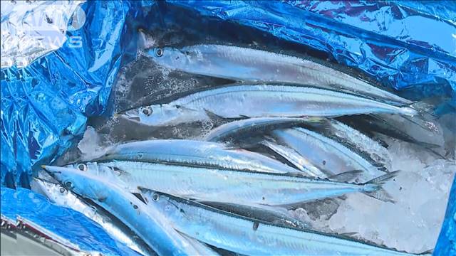 サンマの国際漁獲枠10％削減で合意　新算出ルール導入