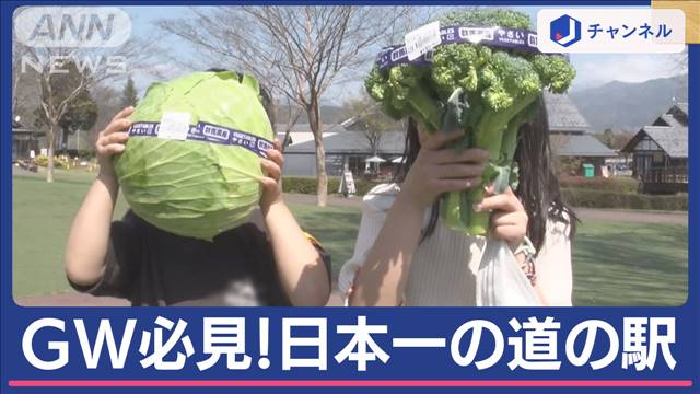 都心から2時間半！2年連続「日本一の道の駅」おトク野菜ズラリ並ぶワケ